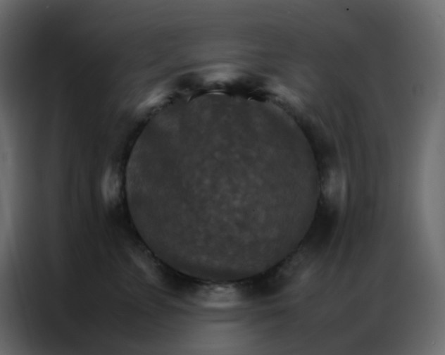 X0000086790715200705041548