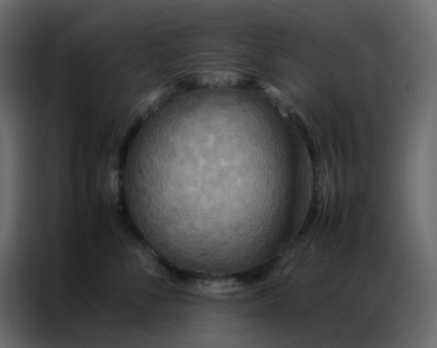 X0000086790716200705041548