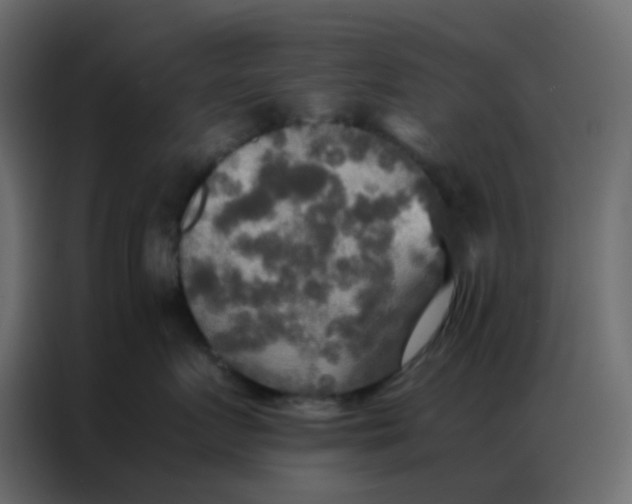 X0000086790719200705041548