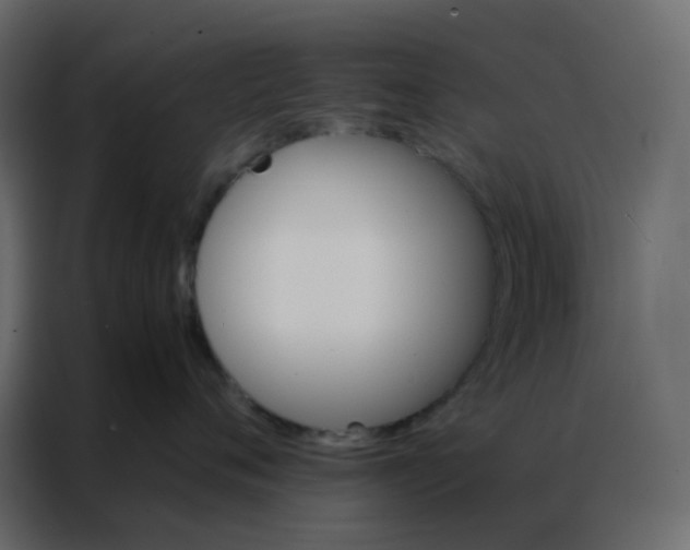 X0000086790720200705041548