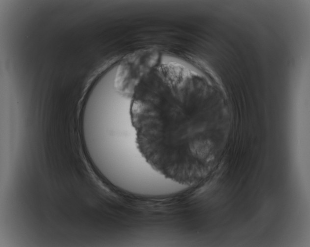 X0000086790721200705041547