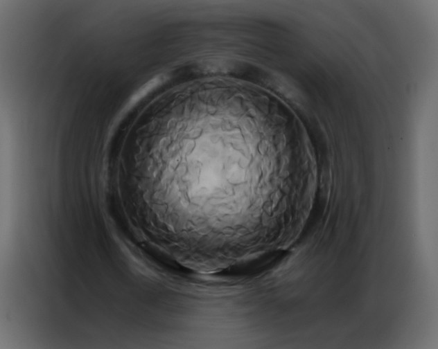 X0000086790722200705041547