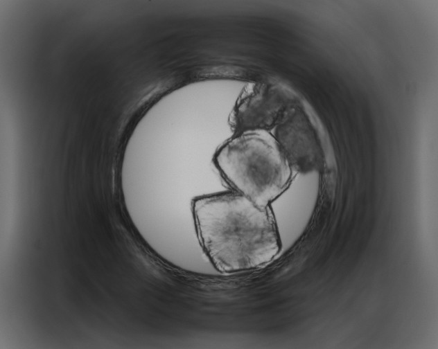 X0000086790729200705041548