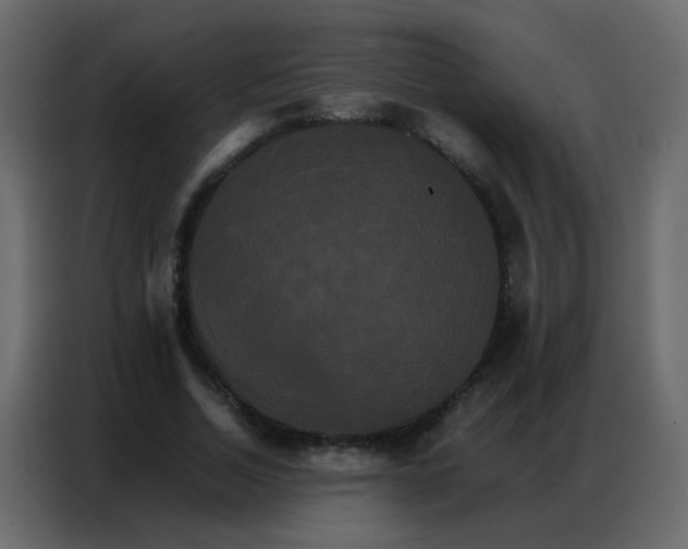 X0000086790730200705041548