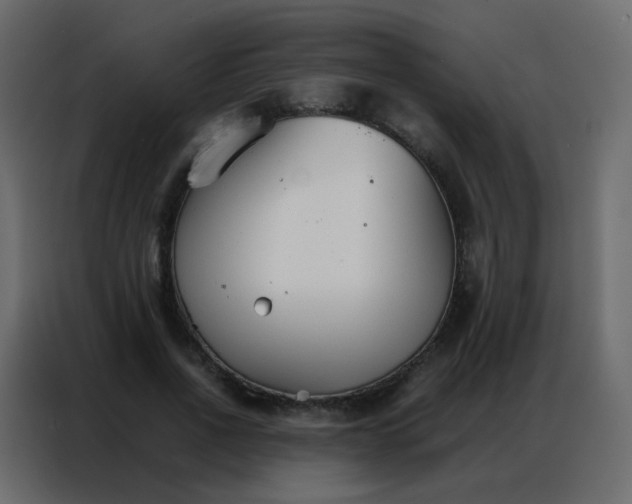 X0000086790734200705041548