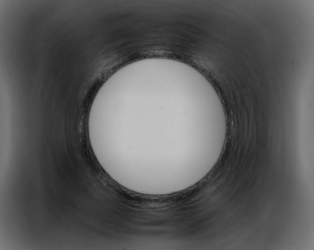 X0000086790739200705041548