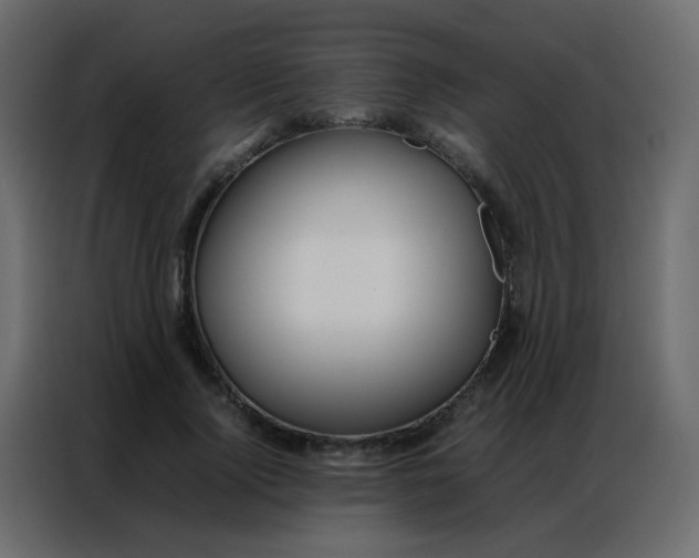 X0000086790740200705041548