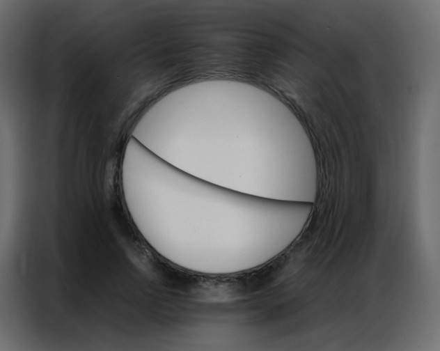 X0000086790742200705041548