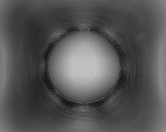 X0000086790744200705041548