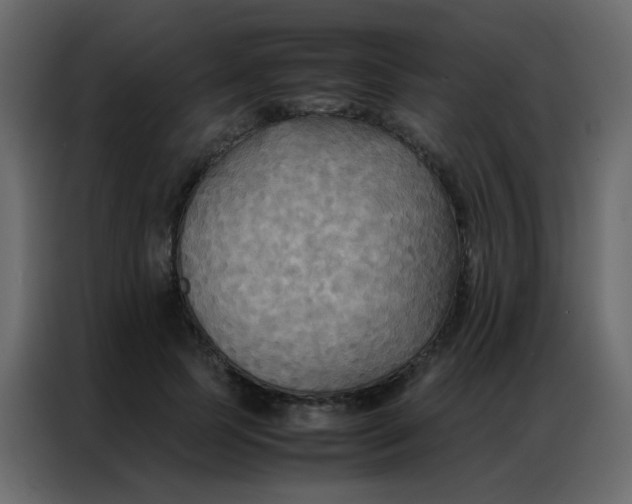 X0000086790745200705041548