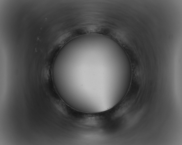 X0000086790746200705041548