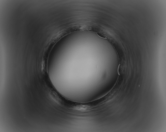 X0000086790748200705041548