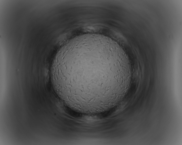 X0000086790749200705041548