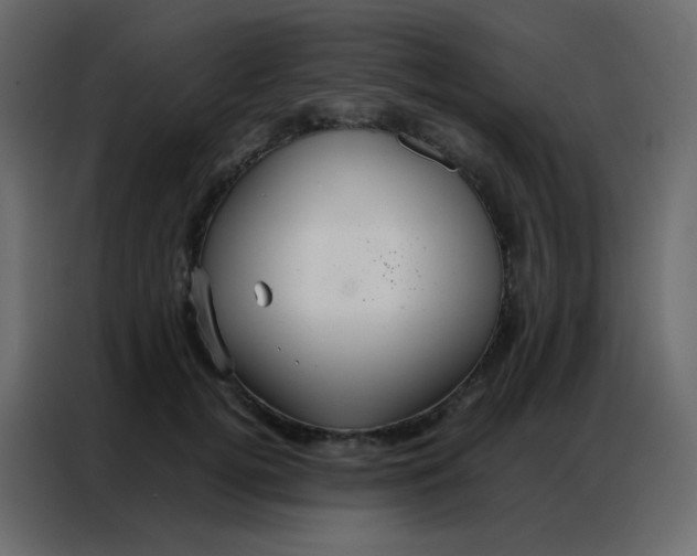 X0000086790752200705041548