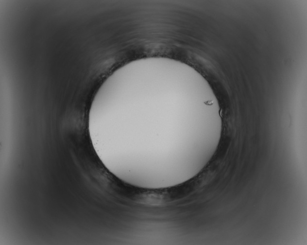 X0000086790756200705041548