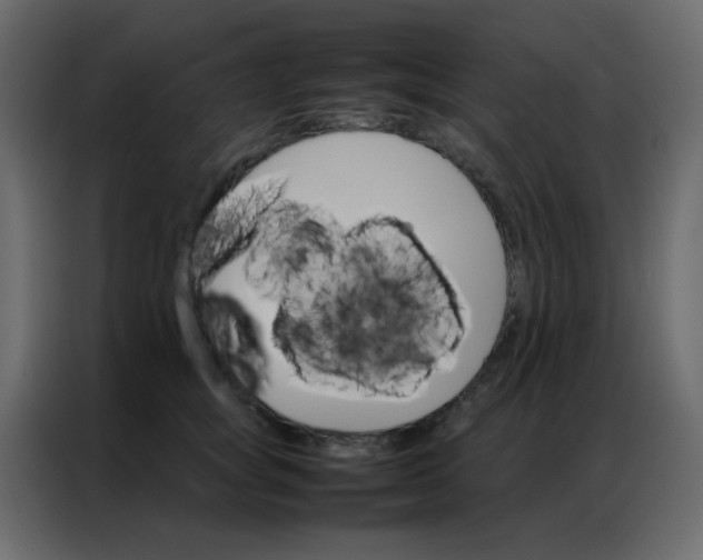 X0000086790757200705041548