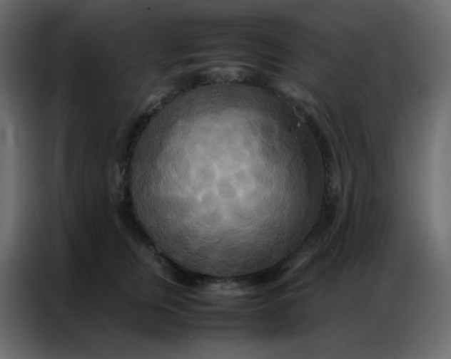 X0000086790759200705041548