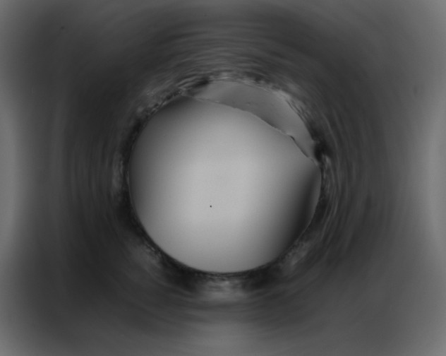 X0000086790760200705041548