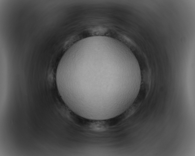 X0000086790761200705041548