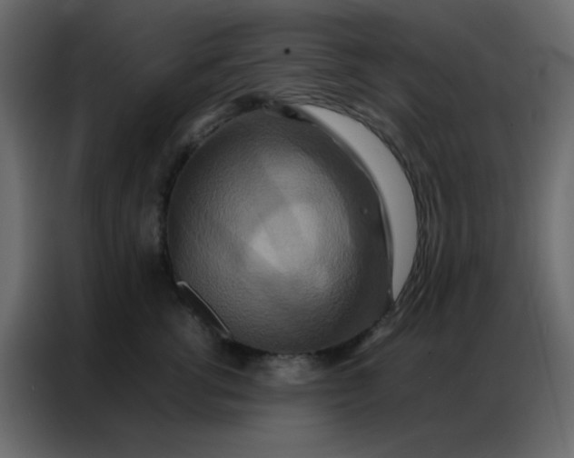 X0000086790762200705041548