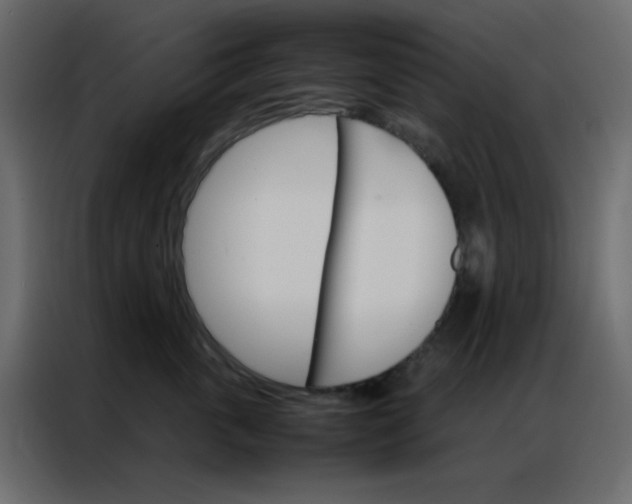 X0000086790763200705041548