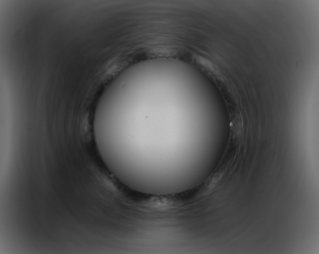 X0000086790764200705041548