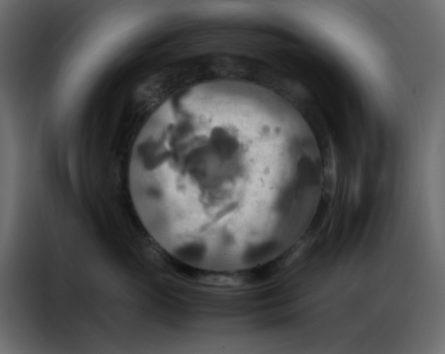 X0000086790765200705041548