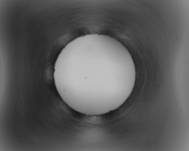 X0000086790768200705041548