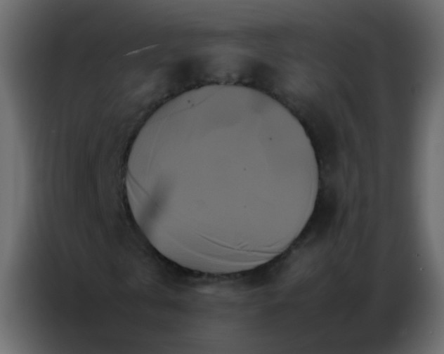 X0000086790769200705041547