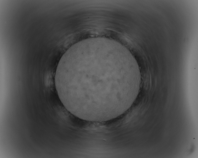 X0000086790770200705041547