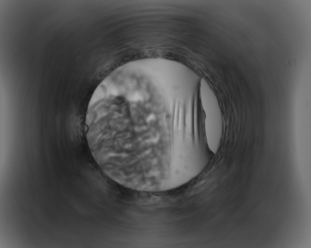 X0000086790772200705041547