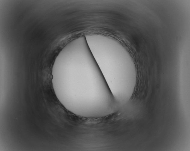 X0000086790773200705041547