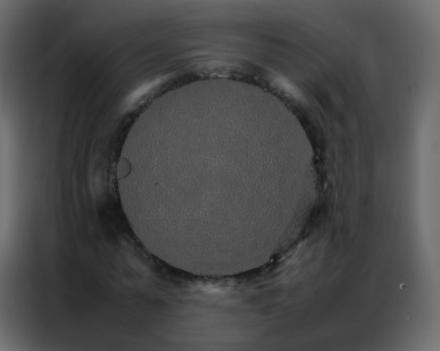 X0000086790775200705041547