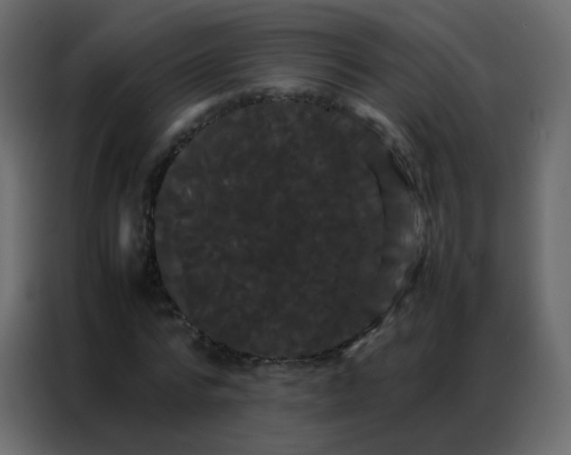 X0000086790776200705041547