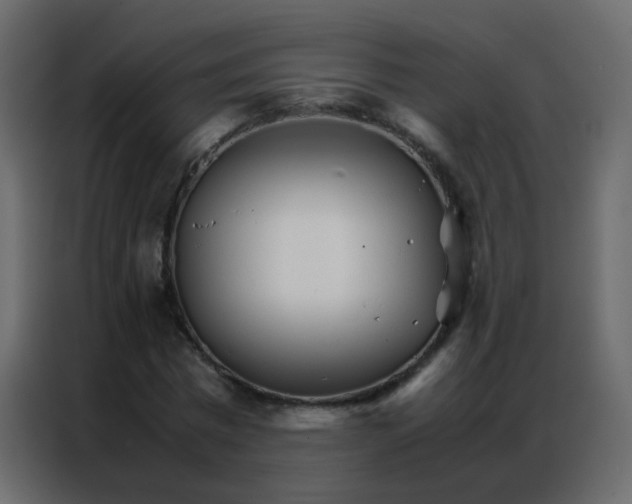 X0000086790777200705041547