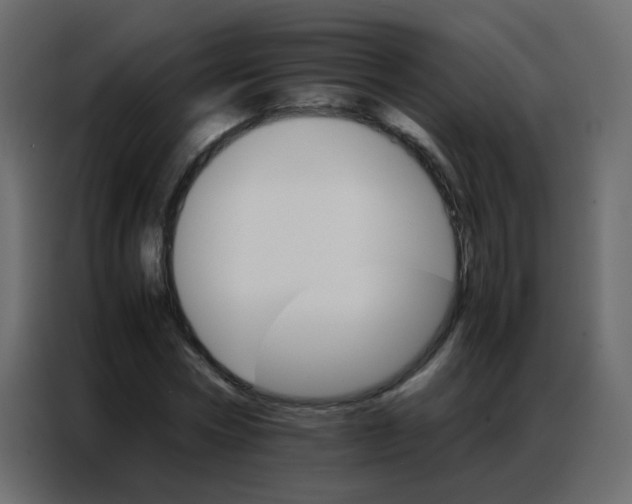 X0000086790778200705041547