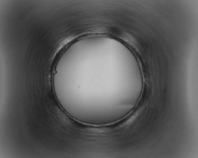 X0000086790781200705041547