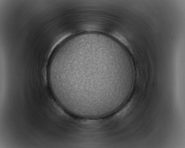 X0000086790782200705041547