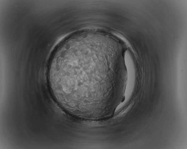 X0000086790783200705041547