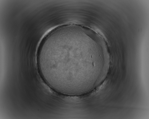 X0000086790784200705041547