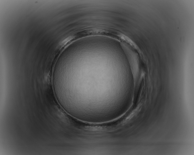 X0000086790785200705041547