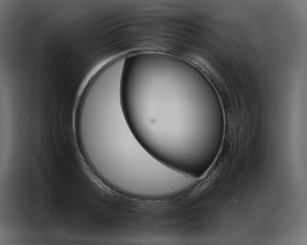 X0000086790788200705041547