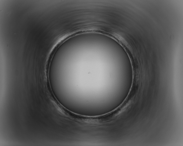 X0000086790789200705041547