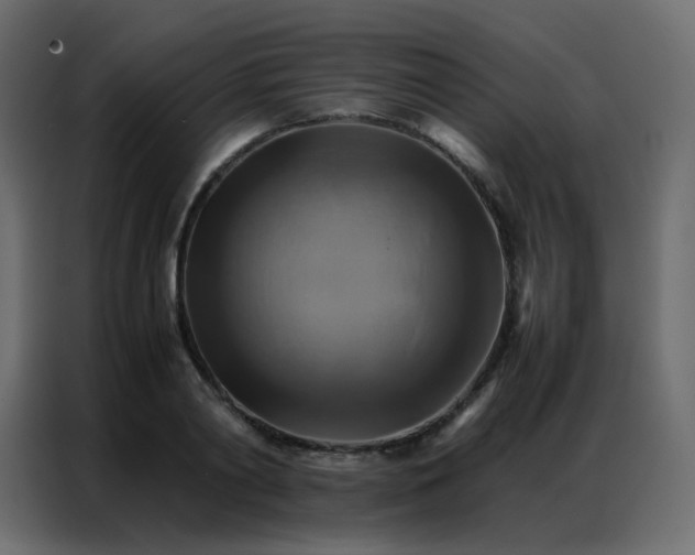 X0000086790790200705041547