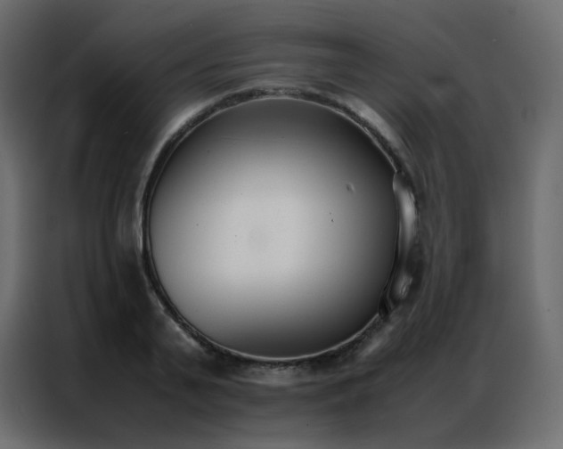 X0000086790791200705041547