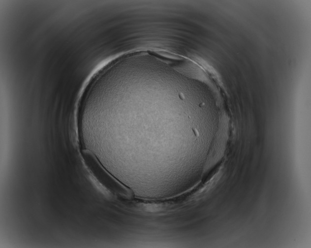 X0000086790792200705041547