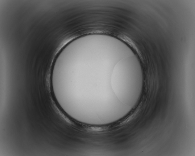 X0000086790794200705041547