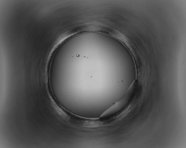 X0000086790795200705041547