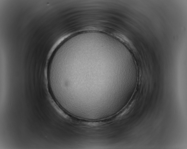 X0000086790796200705041547