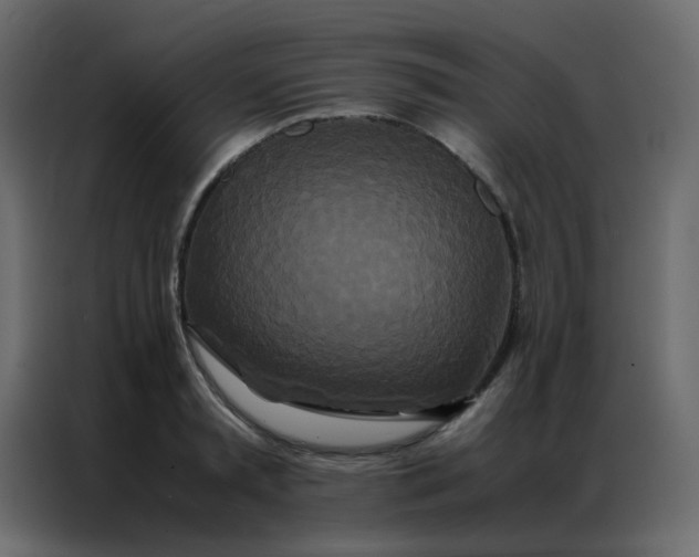 X0000086790797200705041547